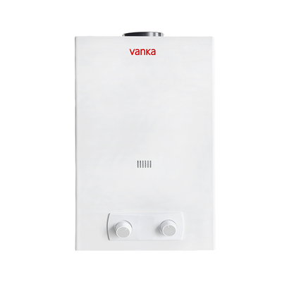 10L Flue Type Instant Gas Water Heater Factory Direct Supply