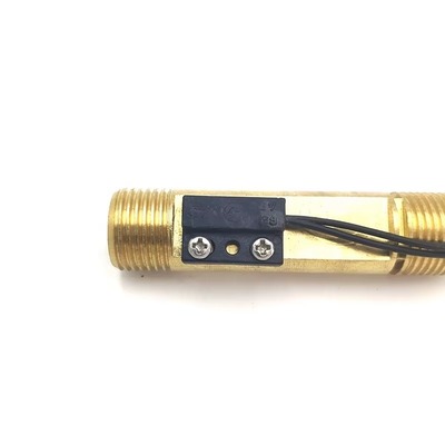 Copper Magnetic Water Flow Switch with 220V/110V Rated Voltage for Gas Water Heaters
