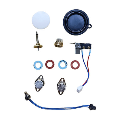 Complete Spare Parts Kit for Flue Gas Water Heater Thermostat Diaphragm Sensor Valve Microswitch