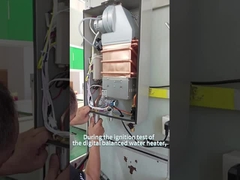 Fully Automatic 16L Indoor Gas Water Heater Constant Temperature Smart Fan Forced