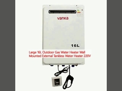 Large 16L Outdoor Gas Water Heater Wall Mounted External Tankless Water Heater 220V