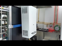 10L Capacity Gas Water Heater Balanced Flue System Fast Heating