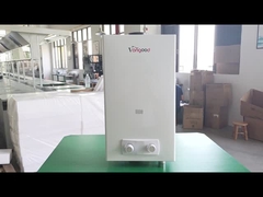 10L Flue Type Instant Gas Water Heater Factory Direct Supply
